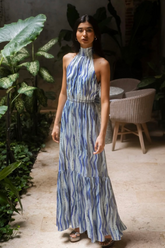 Eleanor Maxi Dress